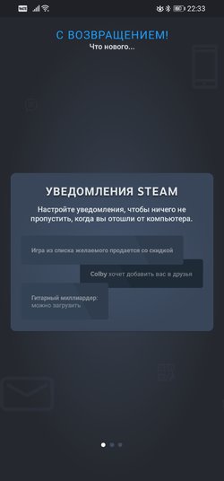 Screenshot_20221012_223322_com.valvesoftware.android.steam.community.jpg